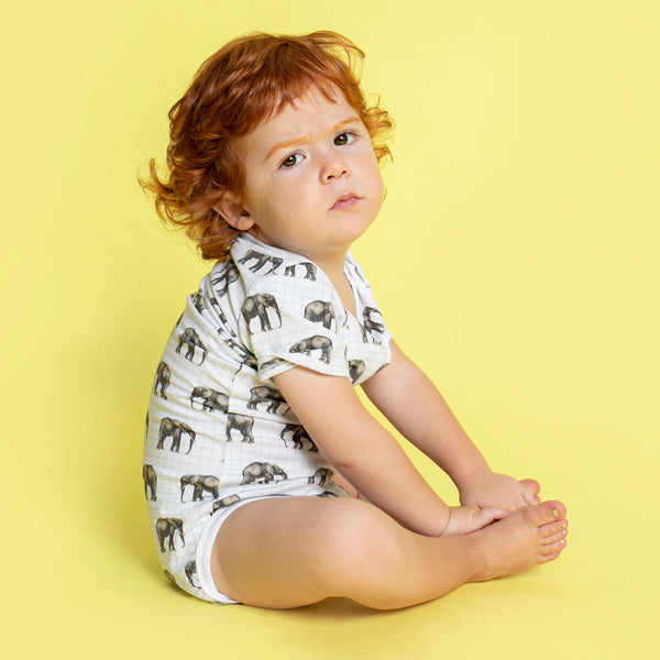 Short Sleeve Baby Bodysuit HAVE YOU HERD THIS ONE?